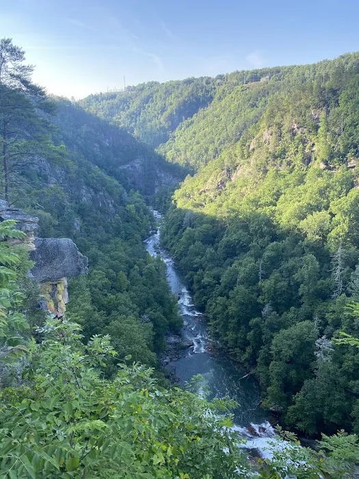 Terrora Campground Picture 4