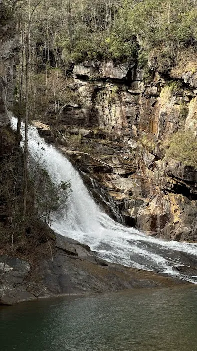 Terrora Campground Picture 10