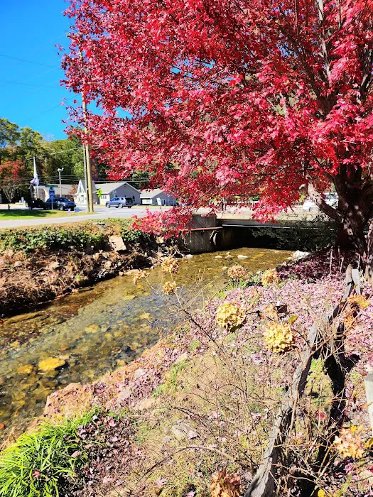 Hillbilly Campground Picture 1