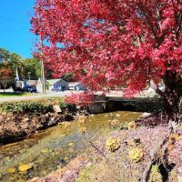 Hillbilly Campground ico