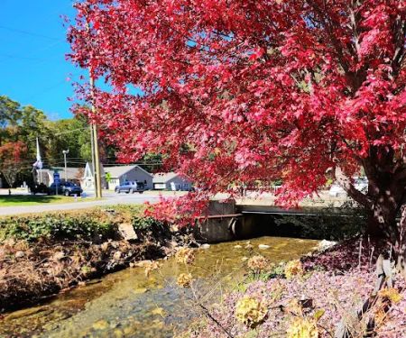 Hillbilly Campground