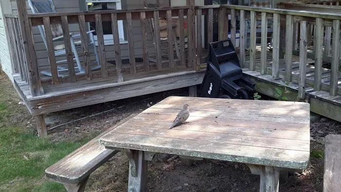 Hillbilly Campground Picture 9