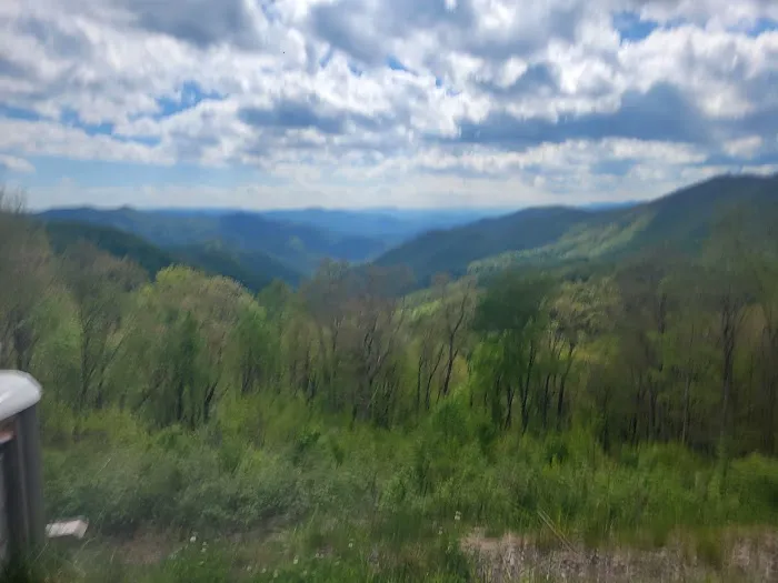 Soco Ridge Yurt Picture 3