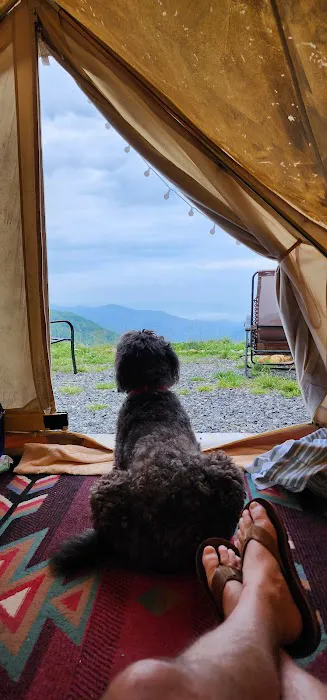 Soco Ridge Yurt Picture 4