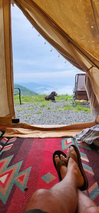 Soco Ridge Yurt Picture 9