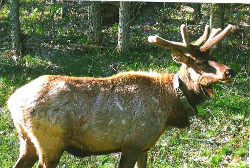 Mile High Campground Office Picture 3