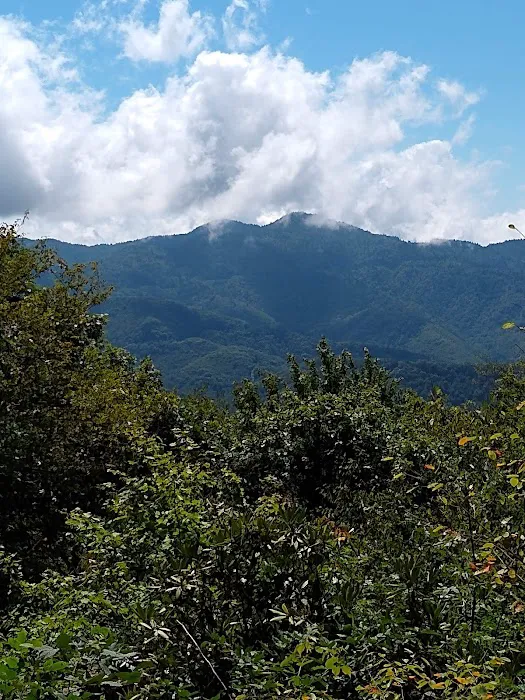 Mile High Campground Office Picture 6