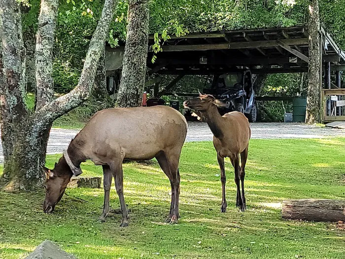 Mile High Campground Office Picture 5