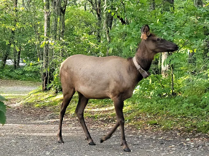 Mile High Campground Office Picture 7