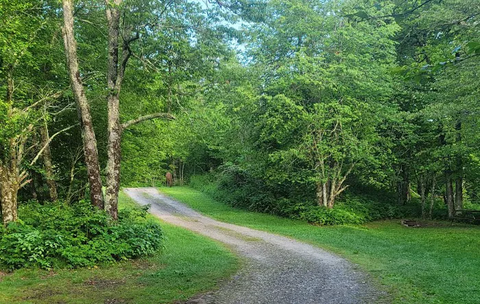 Mile High Campground Office Picture 9