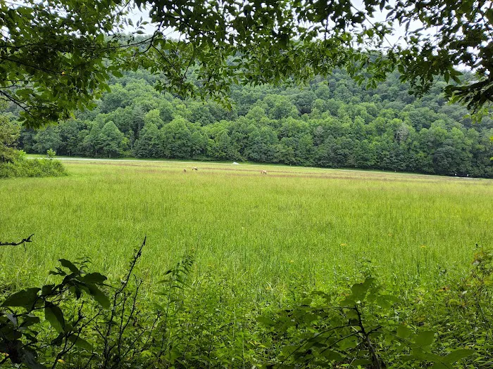 Mile High Campground Tent Site Picture 1