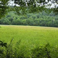 Mile High Campground Tent Site ico