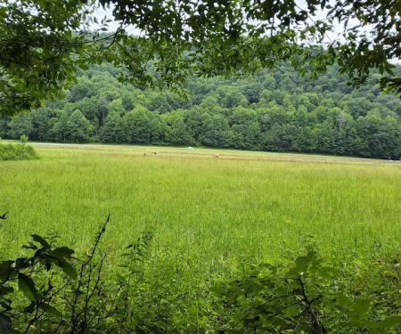 Mile High Campground Tent Site