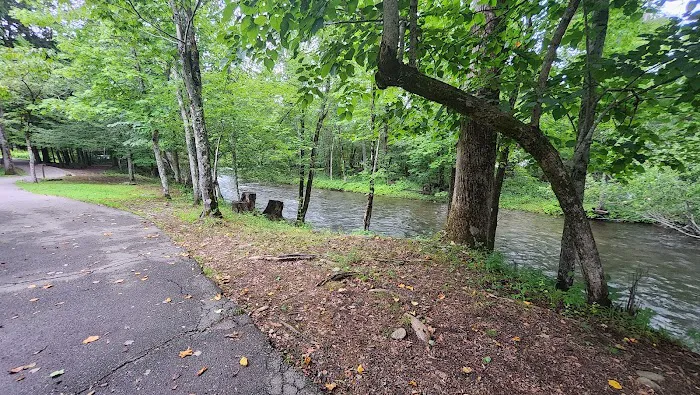 Mile High Campground Tent Site Picture 10