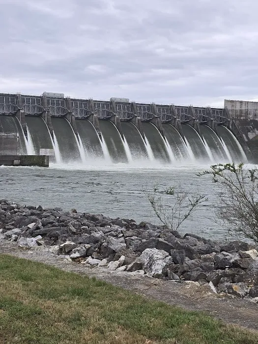 Douglas Tailwater Campground Picture 2