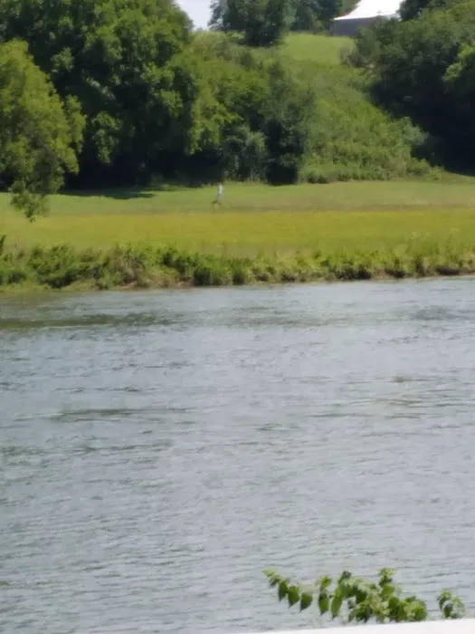 Douglas Tailwater Campground Picture 6