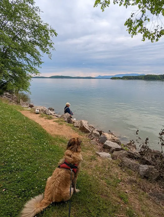 Douglas Headwater Campgrounds Picture 8
