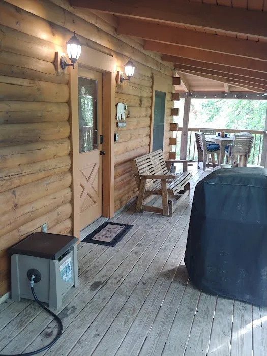 Doghouse In The Smokies Picture 2