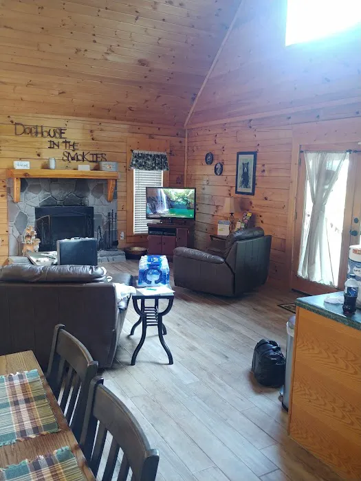 Doghouse In The Smokies Picture 3