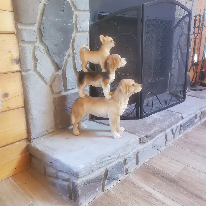 Doghouse In The Smokies Picture 4