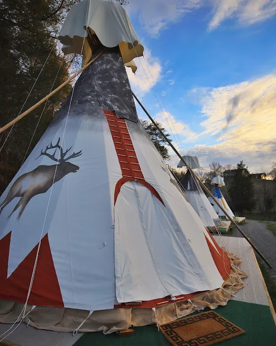 Smoky Hollow Outdoor Resort Picture 3