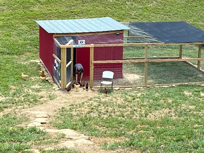 Smoky Hollow Outdoor Resort Picture 9