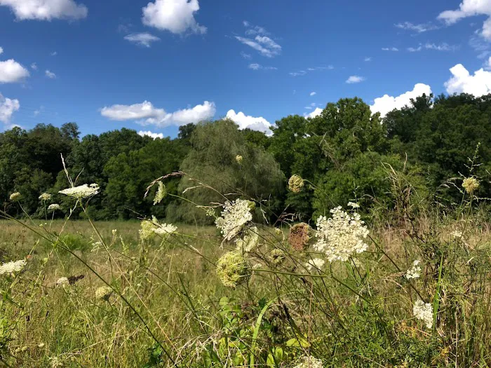 Low Meadow Farms Picture 7