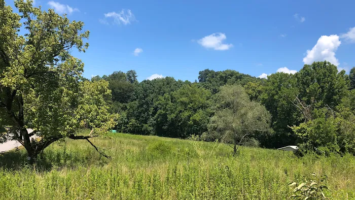 Low Meadow Farms Picture 10