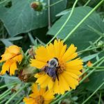 Quarry Trails Campground