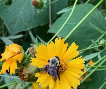 Quarry Trails Campground