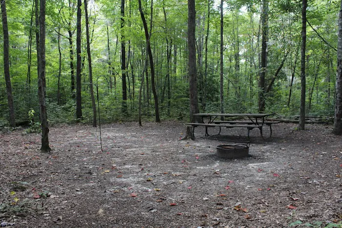 Falls Creek Cabins and Campgrounds Picture 10