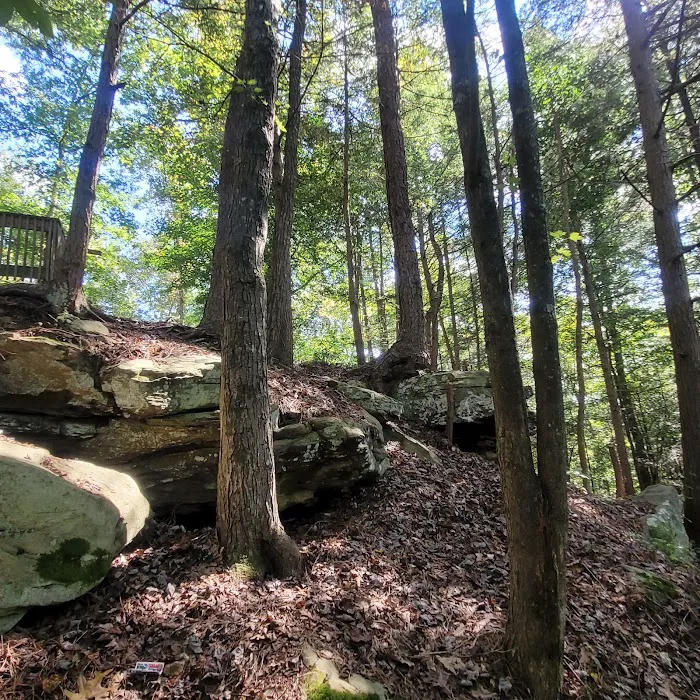 Cumberland Falls RV Campground Picture 4