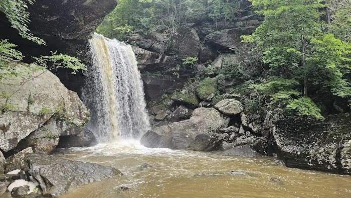Cumberland Falls RV Campground Picture 9