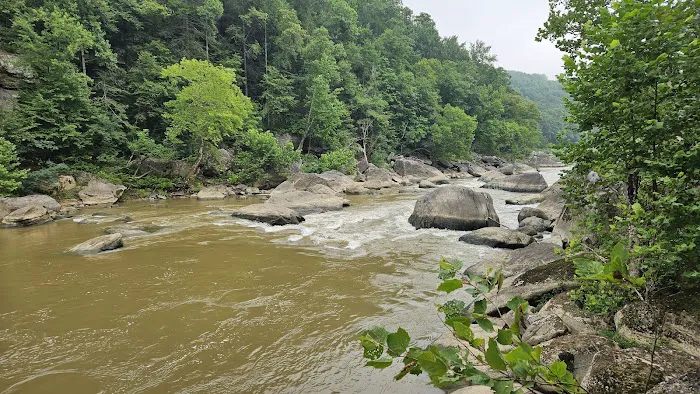 Cumberland Falls Campground Picture 7