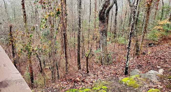 Cumberland Falls Campground Picture 9