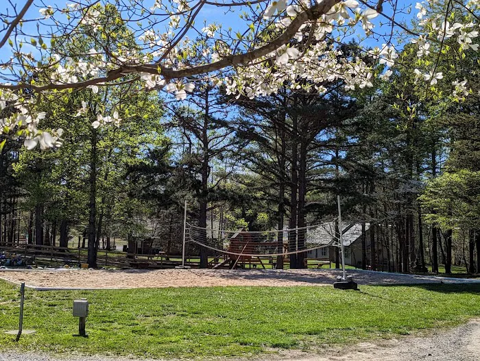 Laurel Lake Camping Resort Picture 5