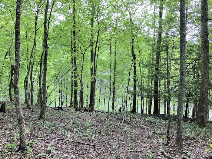 Grove Campground Picture 4