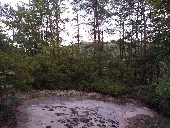 Grove Campground Picture 10