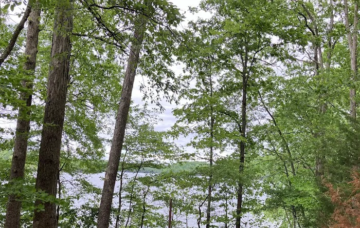 Grove Boat-In Campground Picture 4