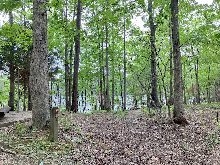 Grove Boat-In Campground Picture 9