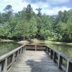 Barren Fork Picnic Area (recgovnpsdata)