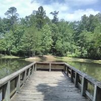 Barren Fork Picnic Area (recgovnpsdata) ico