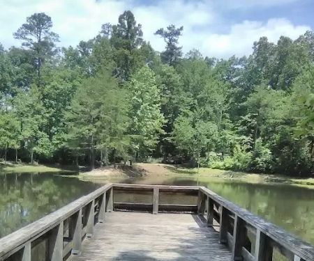 Barren Fork Picnic Area (recgovnpsdata)