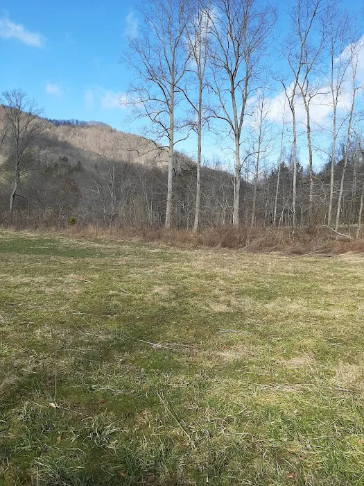 P&S production LLC campsites for SXS Picture 8