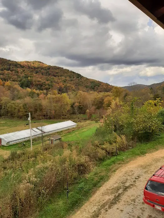 P&S production LLC campsites for SXS Picture 7