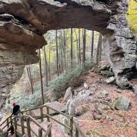 Bear Creek Horse Camp ico