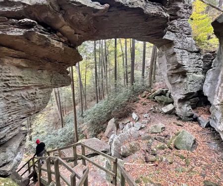 Bear Creek Horse Camp