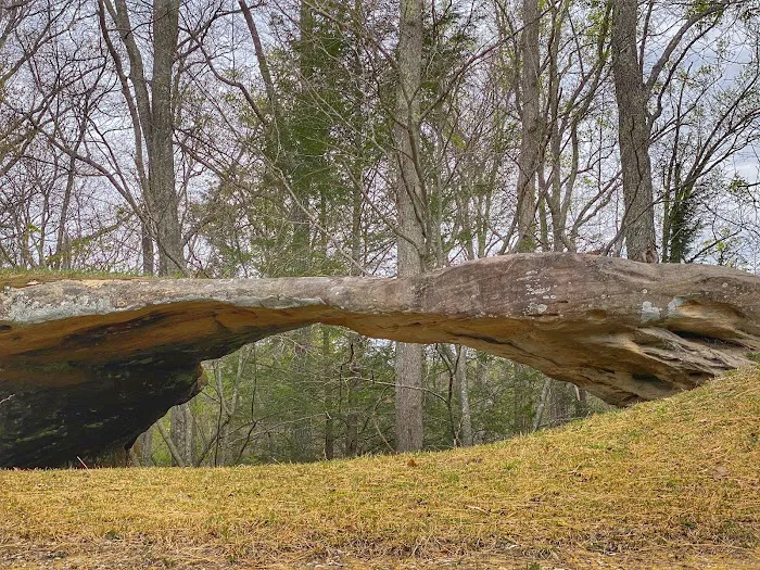 Blue Heron Campground Picture 4