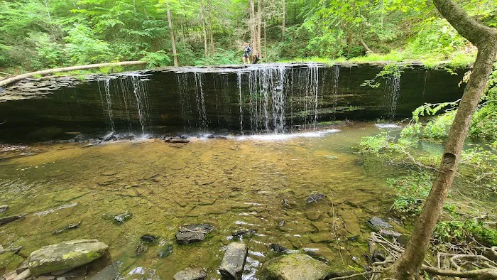 Blue Heron Campground Picture 10