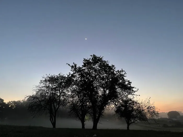 Out to Pasture RV Campground Picture 6